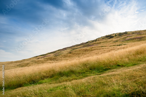 view of mountain and grass with blue sky