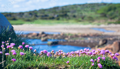 Landscape, The west coast of Sweden