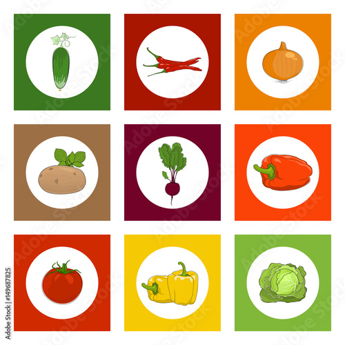 White Round Icons Vegetables on Colorful Background  Cucumber and Pepper   Onion and Tomato  Cabbage and Sweet Peppers  Beetroot and Potato  Vector Illustration