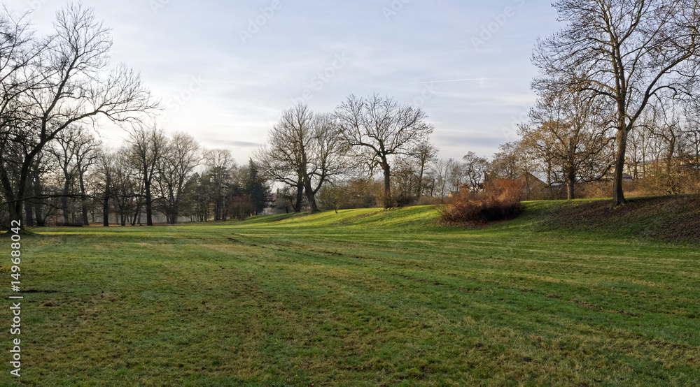 Deciduous trees in the lawn