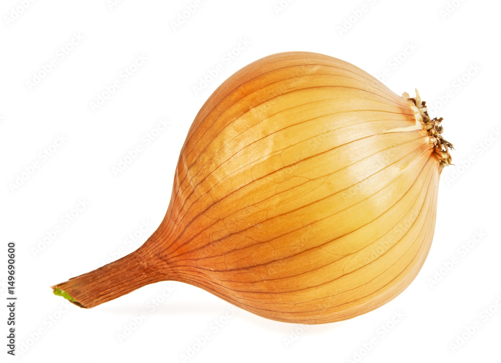 custom made wallpaper toronto digitalYellow onion isolated on a white background