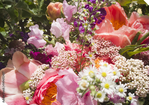 Flowers in many colours © bettysphotos