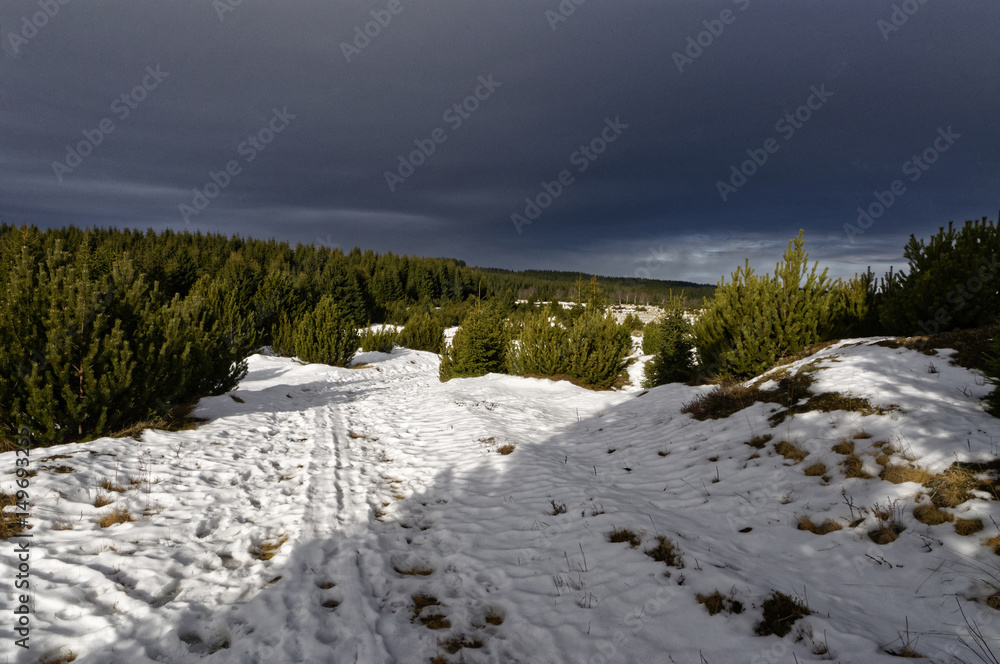 Obraz premium Snow on the dirt road