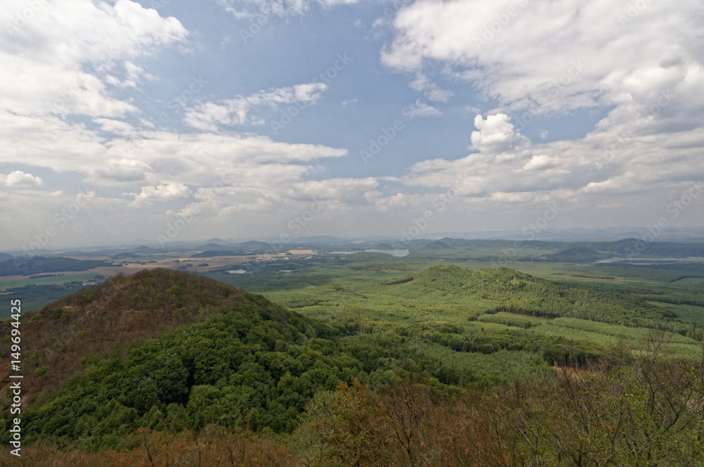 View of the mountain full of green trees View of the mountain full of green trees