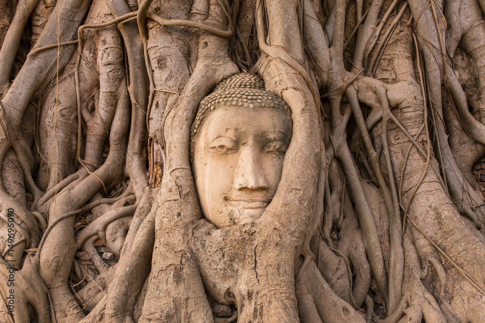 Buddha Head in Tree Roots in Wat Mahathat , Ayuthaya , Thailand