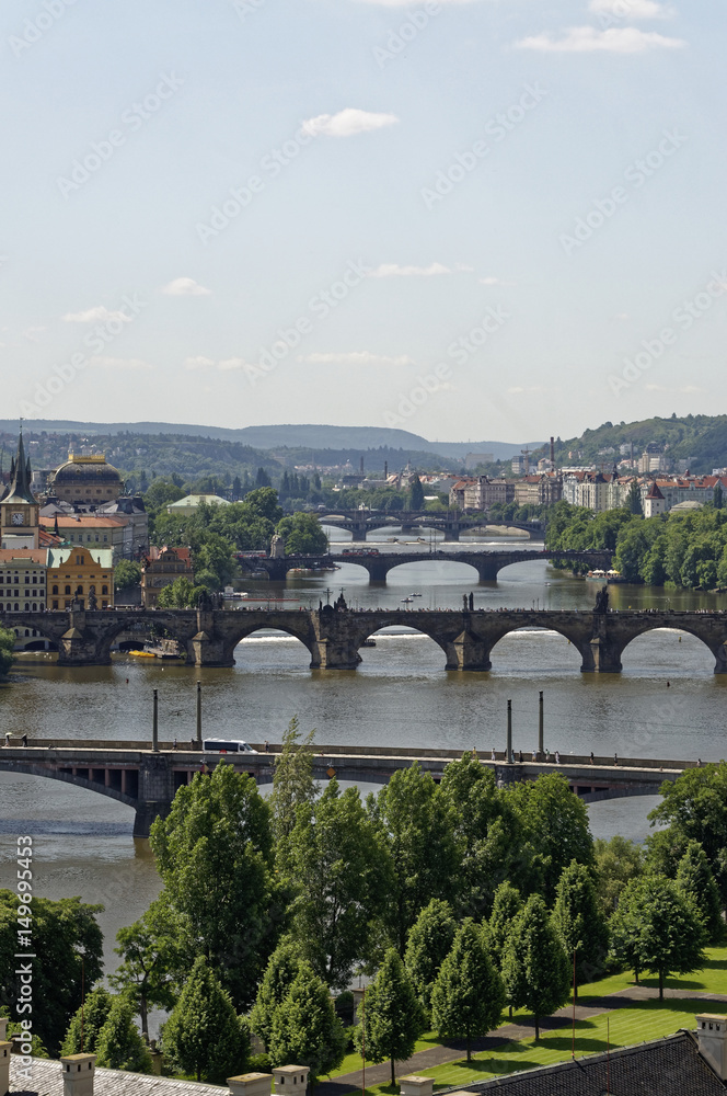 Naklejka premium Bird view of bridges and lawn near to it