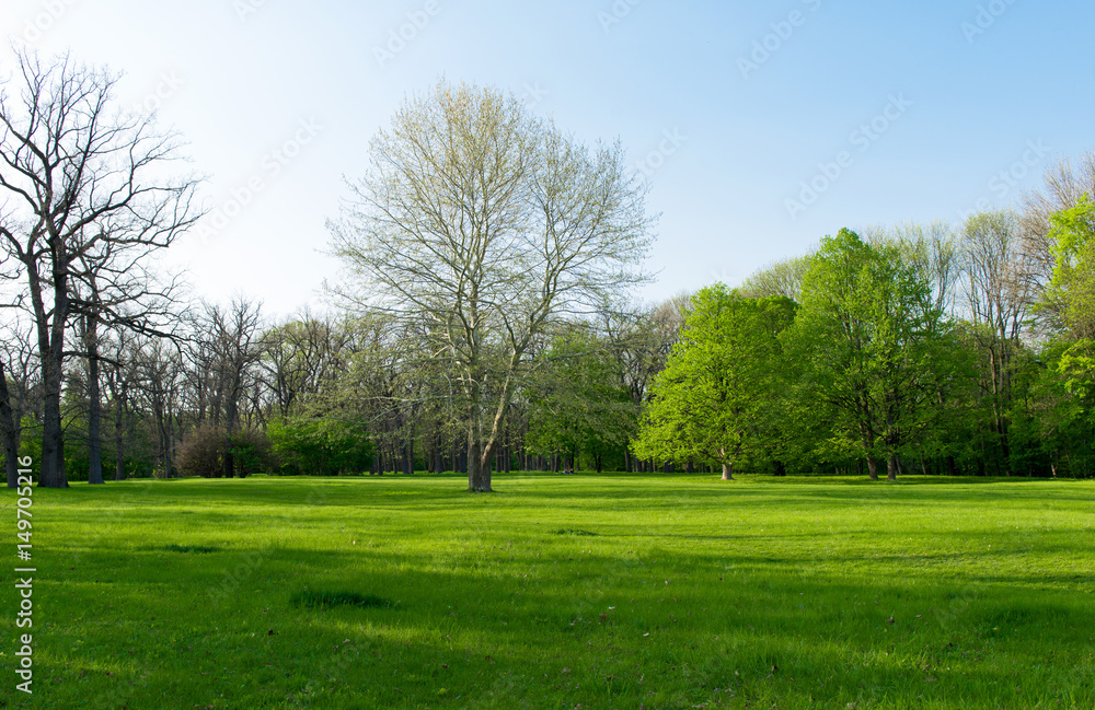 Spring landscape Spring landscape