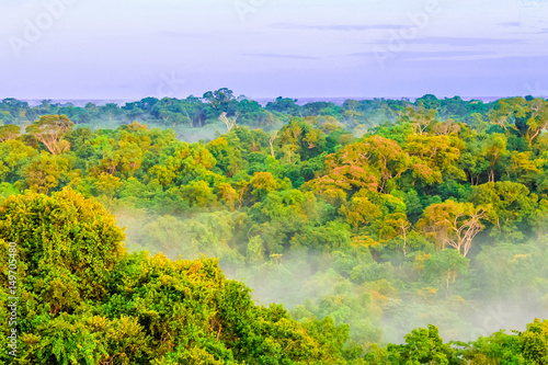 Morning fog over rain forest by Leticia in Colombia © streetflash