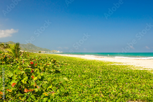 View on natural beach of Arrecifes in national park Tayrona in Colombia photo