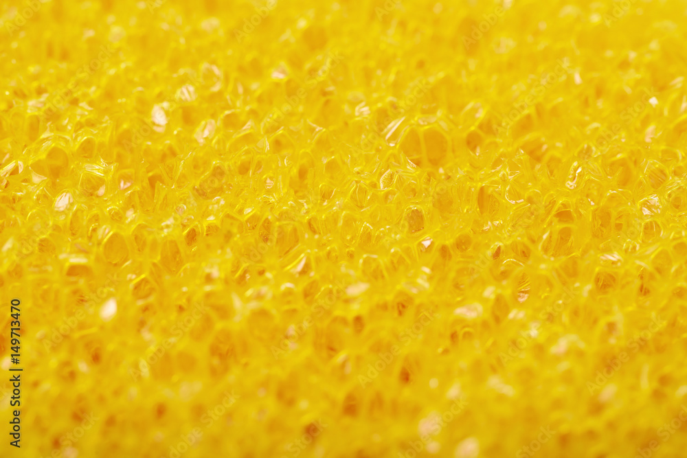 Close-up texture of a sponge Close-up texture of a sponge