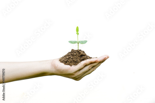 plant growing with soil on woman hands on white background photo