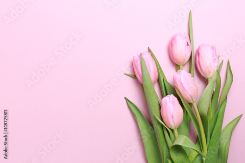 Fototapeta Naklejka Na Ścianę i Meble -  Pink tulips on the pink background. Flat lay, top view.  Valentines background.