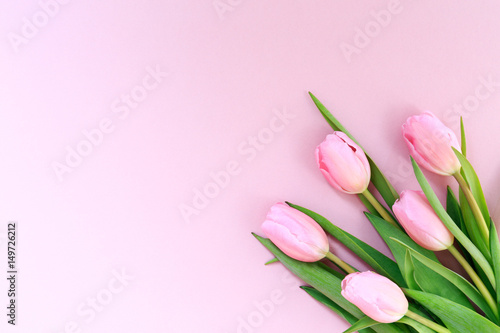 Fototapeta Naklejka Na Ścianę i Meble -  Pink tulips on the pink background. Flat lay, top view.  Valentines background.