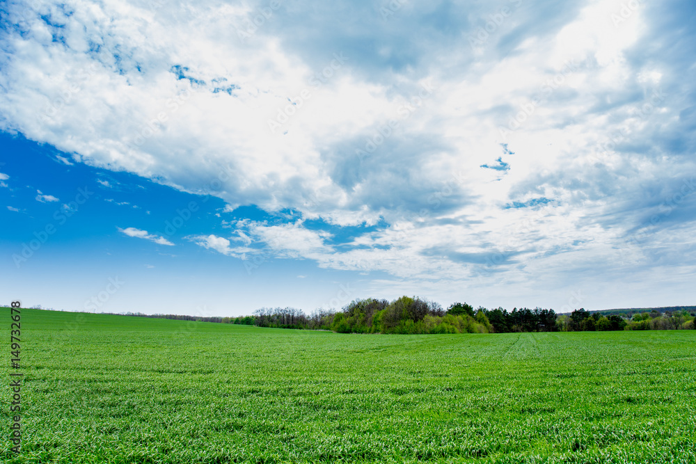 Green grass, a distant prospect, clean air and a beautiful blue sky Green grass, a distant prospect, clean air and a beautiful blue sky