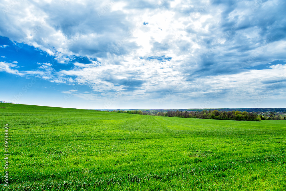 Green grass, a distant prospect, clean air and a beautiful blue sky Green grass, a distant prospect, clean air and a beautiful blue sky