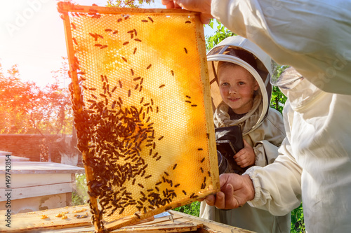 Experienced beekeeper grandfather teaches his grandson caring for bees. Apiculture. The transfer of experience.