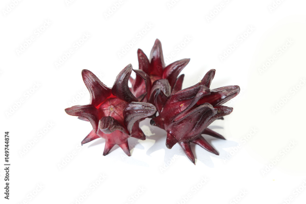 Obraz premium Roselle flowers