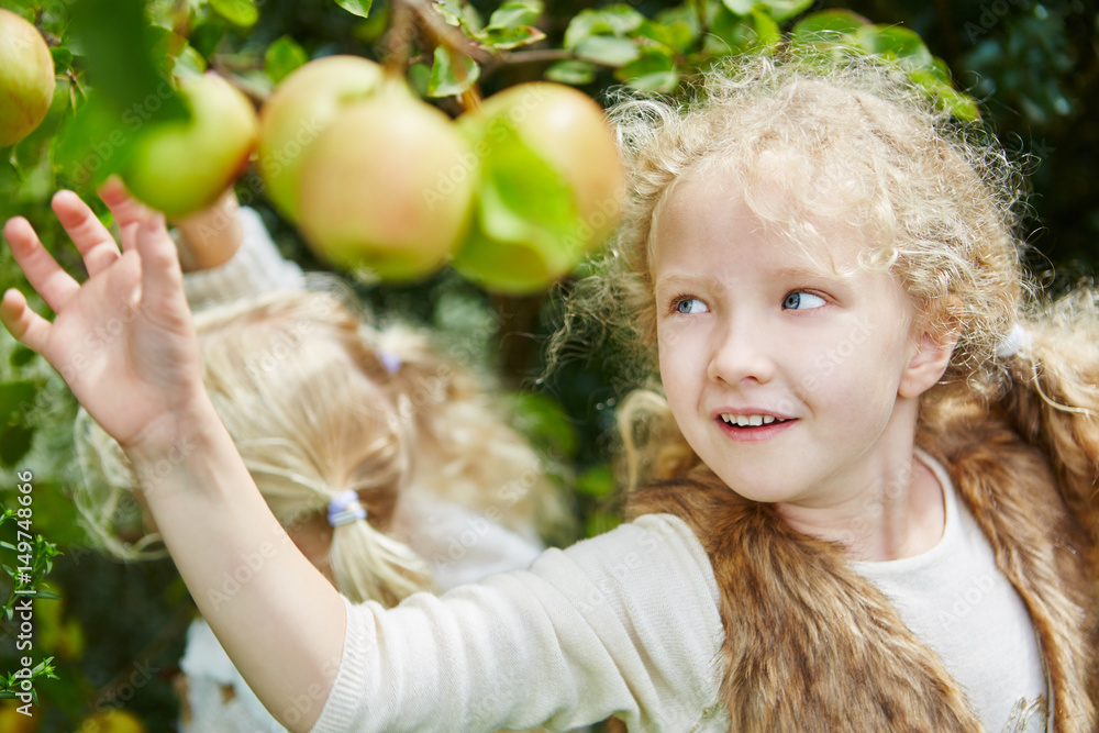 Gril during apple harvest time Stock Photo Adobe Stock
