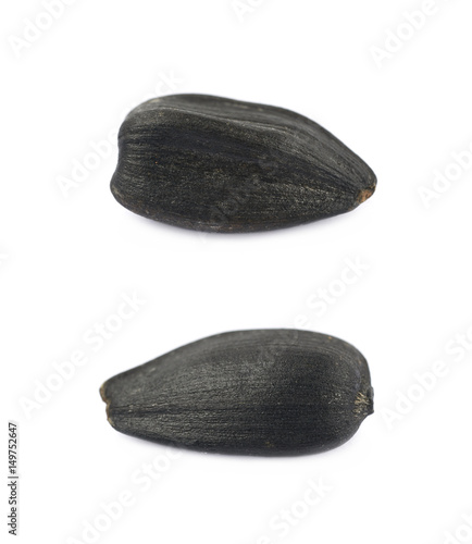 Wallpaper Mural Single sunflower seed isolated Torontodigital.ca