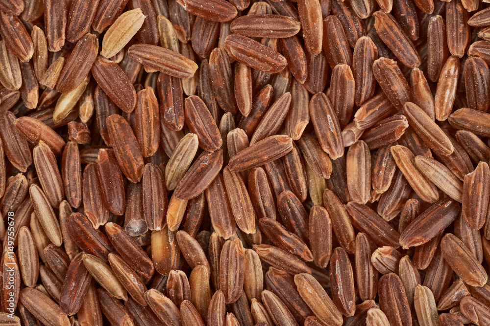 Surface coated with the brown rice grains Surface coated with the brown rice grains