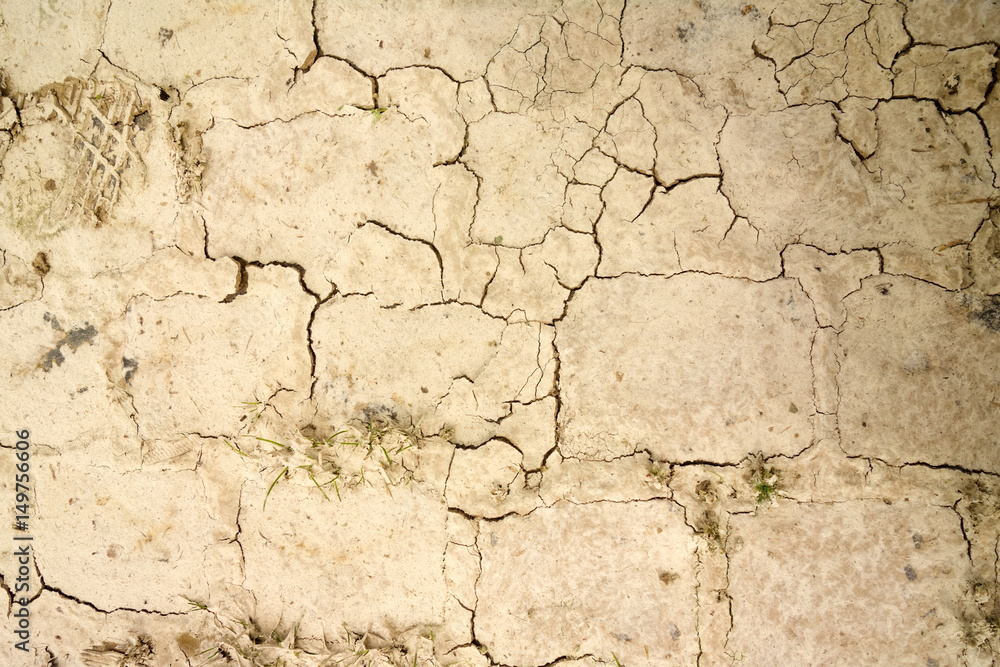 Cracked earth Cracked earth