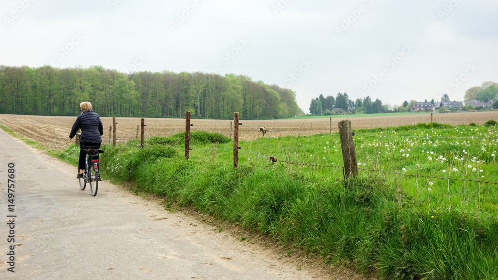 Fototapeta premium Rural area 