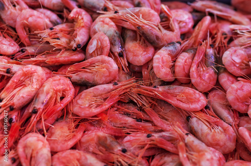 Pink shrimps background texture. A lot of sea prawns or pattern of krill