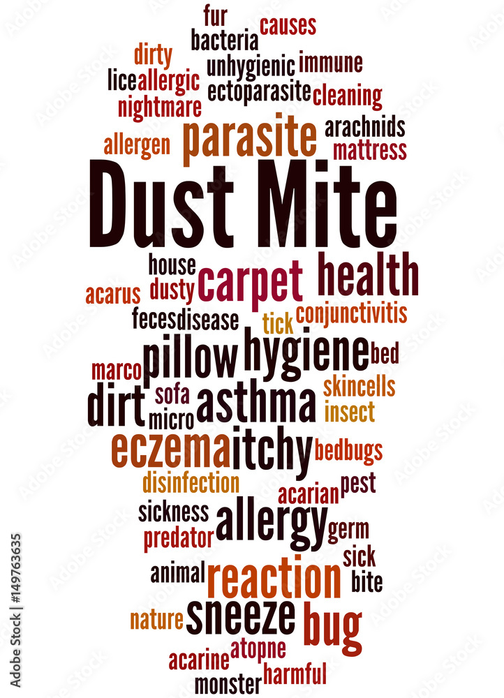 Obraz premium Dust mite, word cloud concept 5