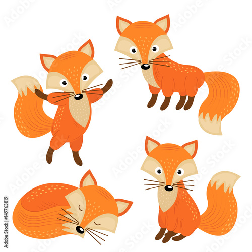 set of isolated cute foxes part 2 - vector illustration, eps © nataka