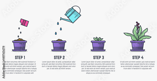 Growing stages of plant