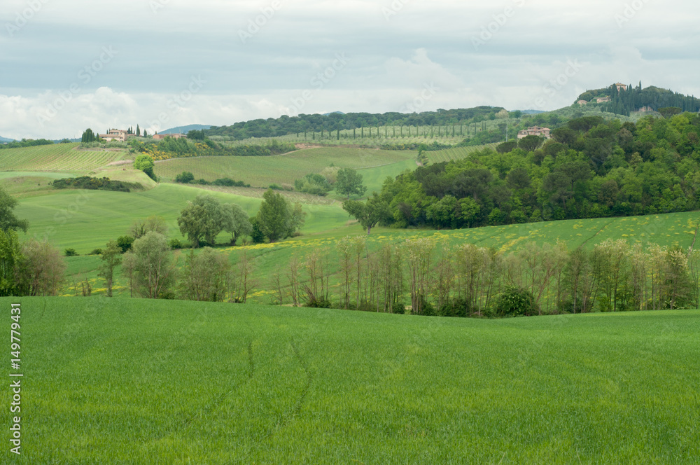 beautiful landscape in Tuscany