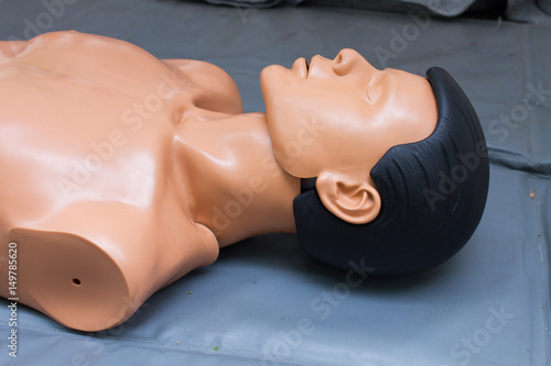 Canvas Print manikin body part