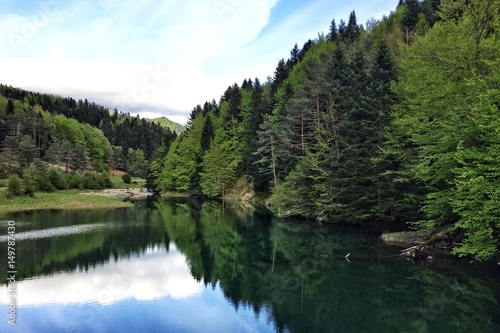Irati forest natural park in Navarra