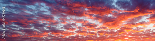 Fototapeta Naklejka Na Ścianę i Meble -  Panoramic view the blood red evening sky and amazing clouds.