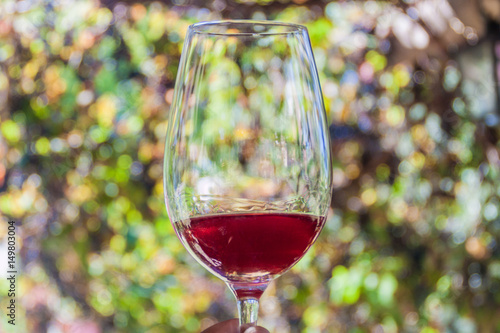Glass of wine in a winery near Mendoza, Argentina