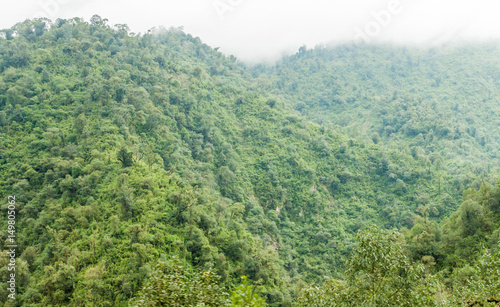 Mountains covered with a lush forest near San Miguel de Tucuman  Argentina