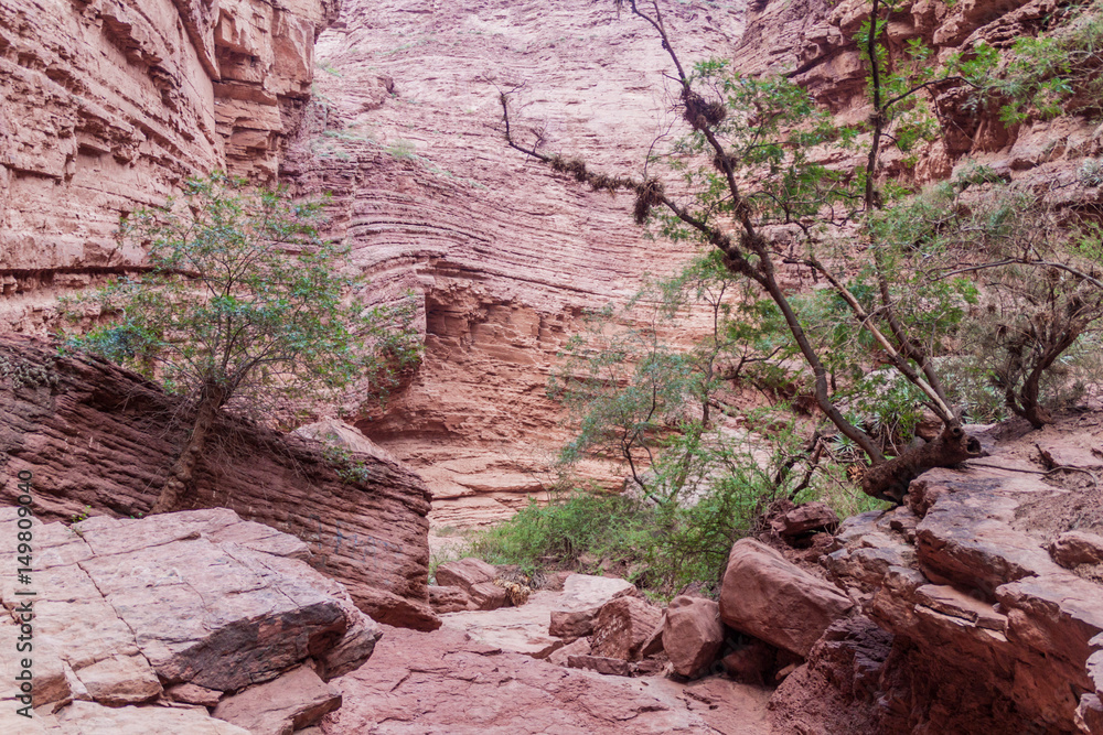Obraz premium Rock formation called Garganta del Diablo (Devil's Throat) in Quebrada de Cafayate valley, Argentina