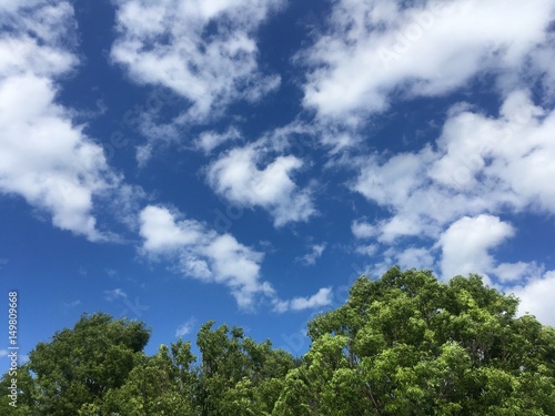 bright spring afternoon sky with clouds