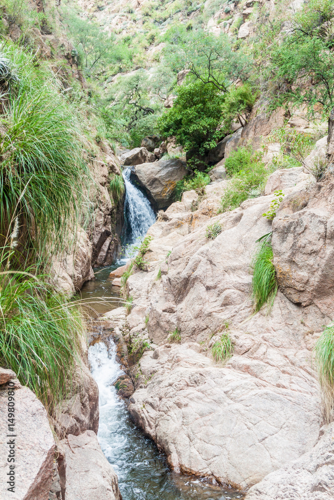 Fototapeta premium Waterfall in Quebrada del Colorado canyon near Cafayate, Argentina