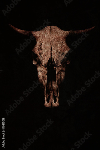 the skull of a bull. Art background