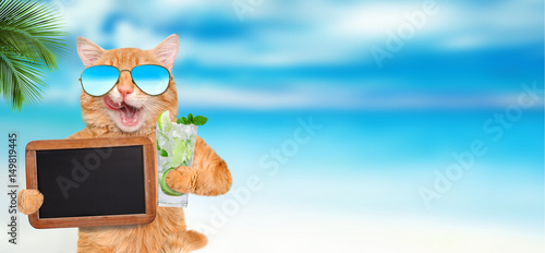 Fototapeta Naklejka Na Ścianę i Meble -  Cat wearing sunglasses relaxing in the sea background.  Cat holds blank blackboard .