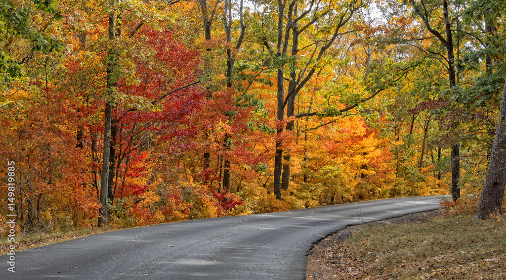 Autumn Colors Of DeSoto State Park