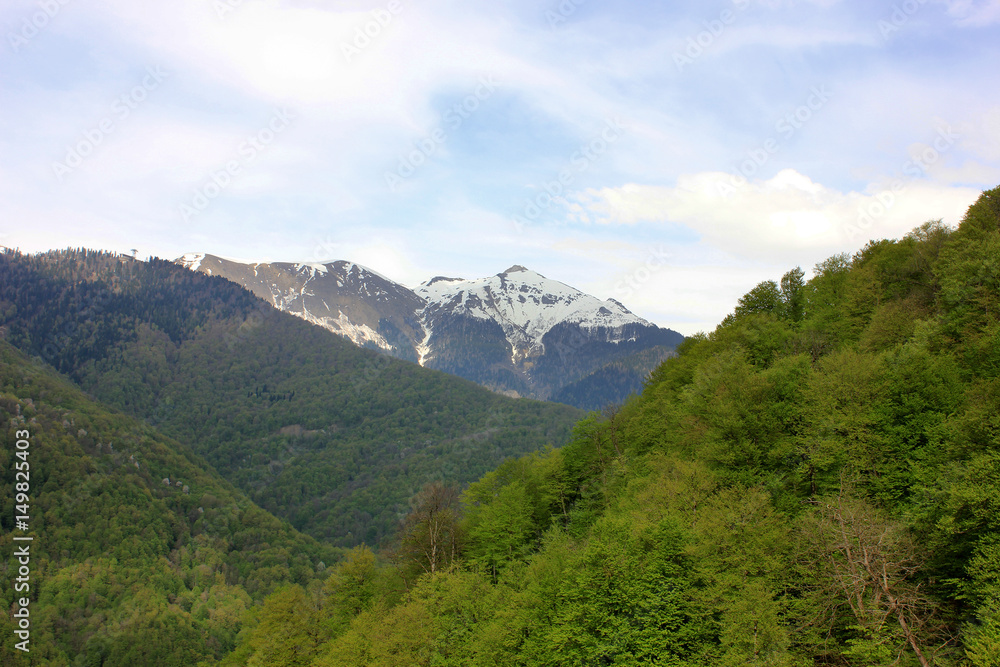Mountain landscape. Green mountains with trees and snowy rocky peak.