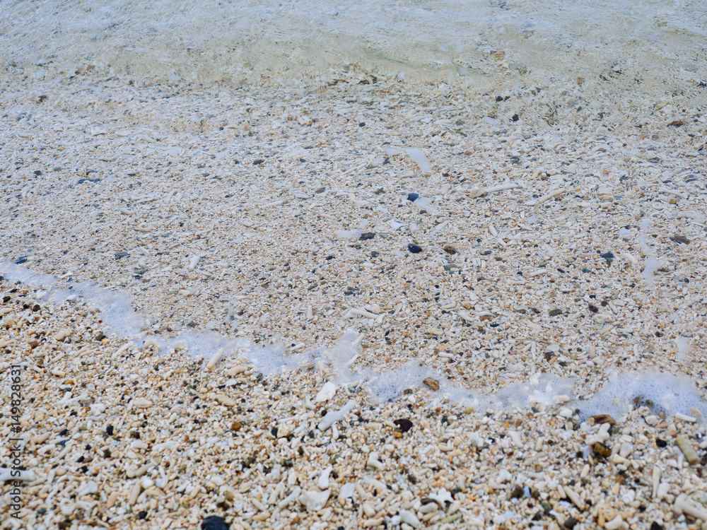 珊瑚の海岸 珊瑚の海岸