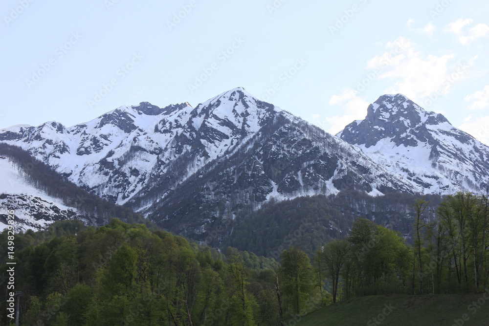 Obraz premium Mountain landscape. Snowy mountain peaks and green trees at bottom.