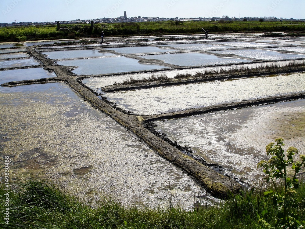 Fototapeta premium Marais salants