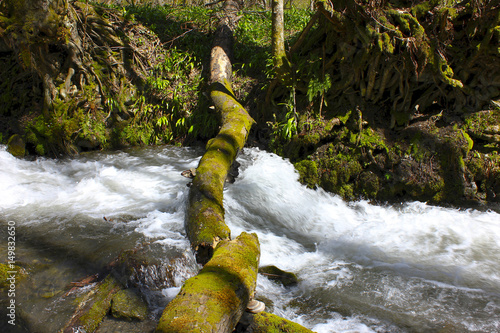 Log through a stormy mountain stream.