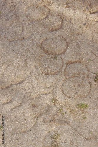 Horse footprints in the sand