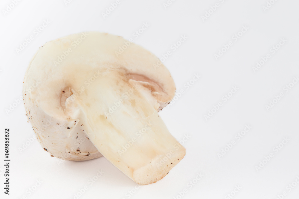 Freshly harvested mushroom (Agaricus bisporus) isolated in white background Freshly harvested mushroom (Agaricus bisporus) isolated in white background