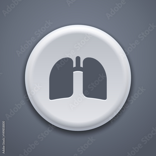 Vector - Web Button